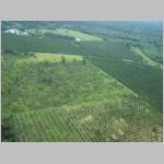 091 Helicopter Tour - Farming.JPG